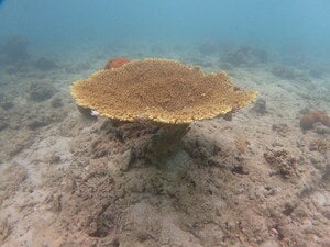 Protected Waters