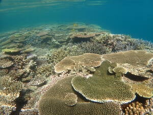 Sukuji Beach Offshore