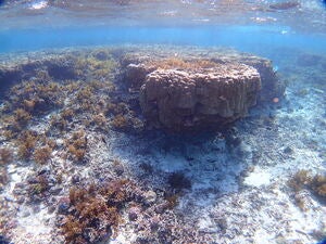 Kabira Channel Northwest