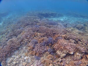 Kabira Channel East