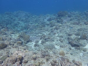 Hikiishi south