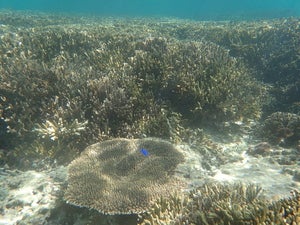 Kouri island Tokeihama north