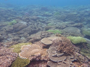 Minna island west