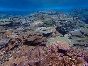 Chiibishi Kuefu south