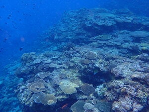 Izena island 1st