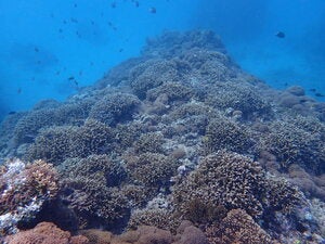 Izena island Hanabashi north