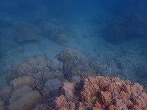 Hamahiga island west