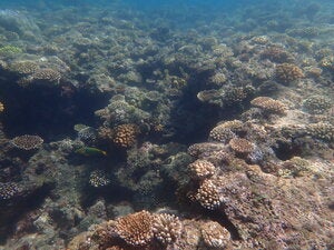 Kumaka island north