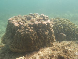 Ohjima south