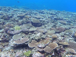 Zanpamisaki west