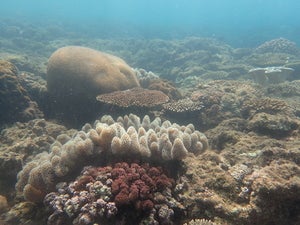 Mizugama