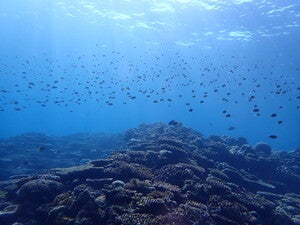 Kourijima Tokeihama