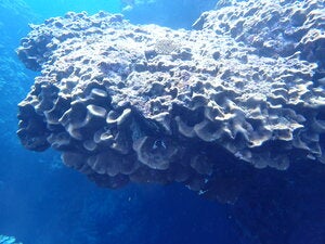Mabuni south