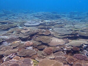 Aquarium west